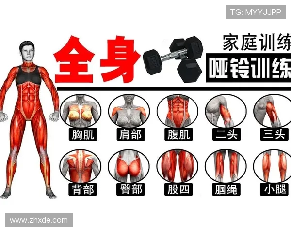 科学健身从饮食到训练全方位解析助你打造完美身材的必备指南