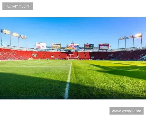 陈丽专访：从绿茵场到人生舞台的足球旅程回顾与展望